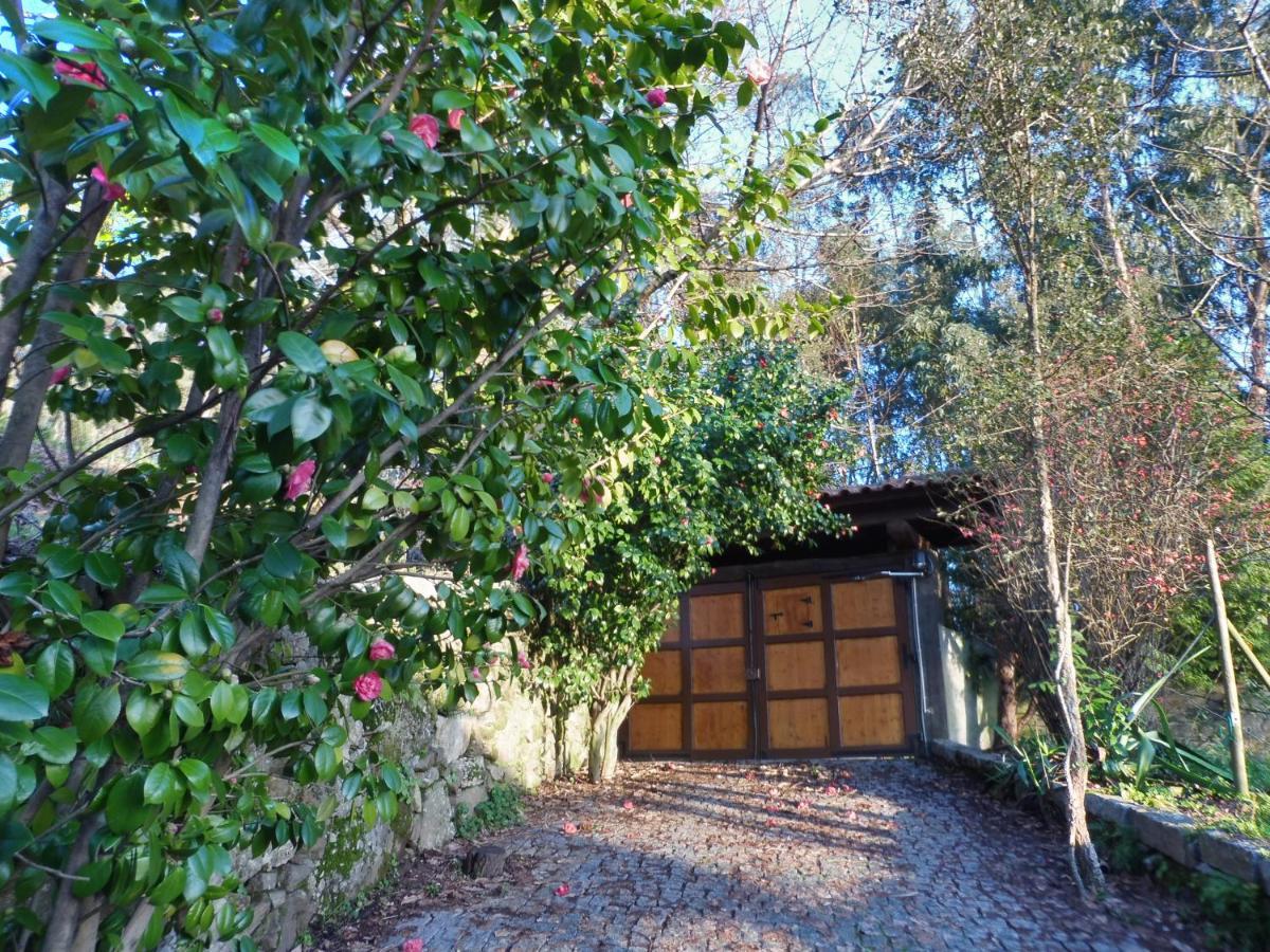 LongosQuinta Da Tapada公寓 外观 照片
